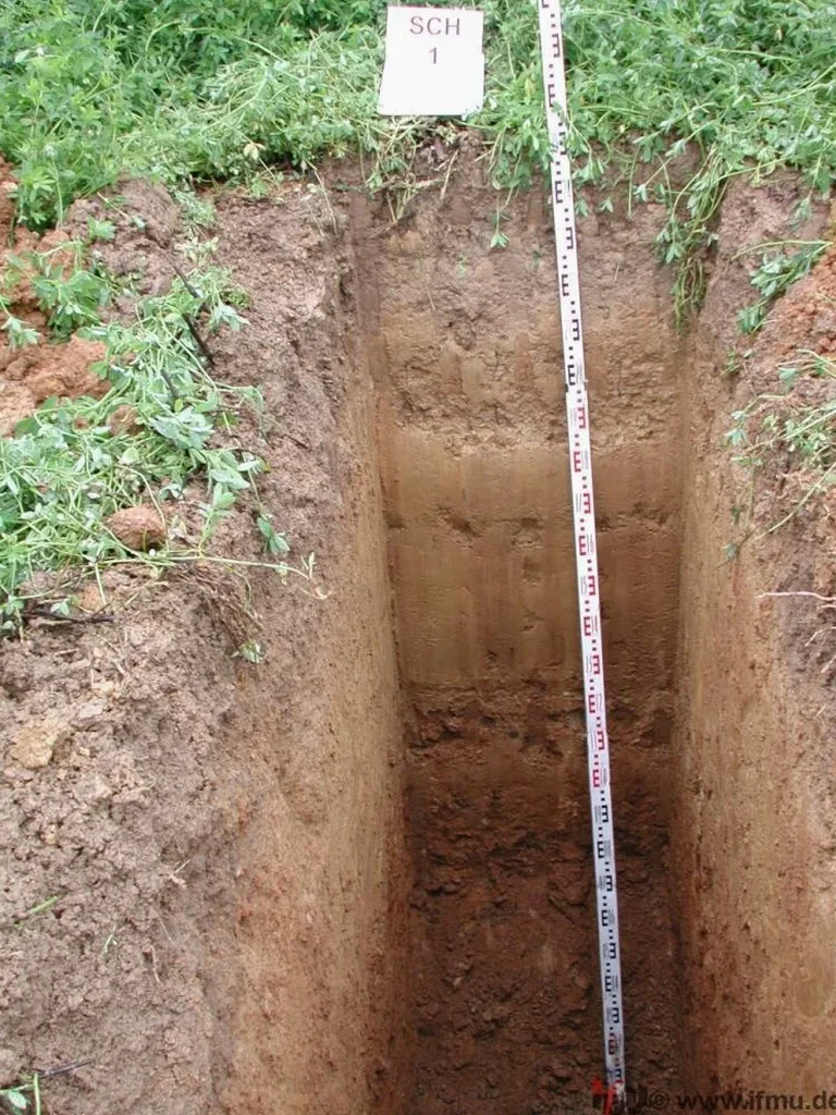 Exploratory Test Pits in Adelaide: What You Actually See Below the Surface